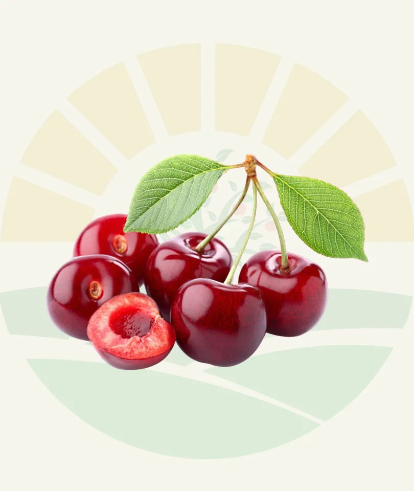 Sweet cherries