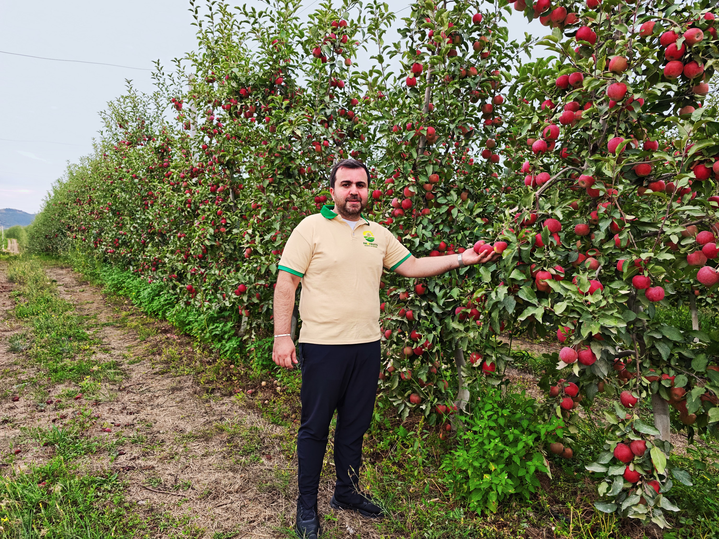 Orkhan Aliyev, founder of Akofruits, beside a row of red apples