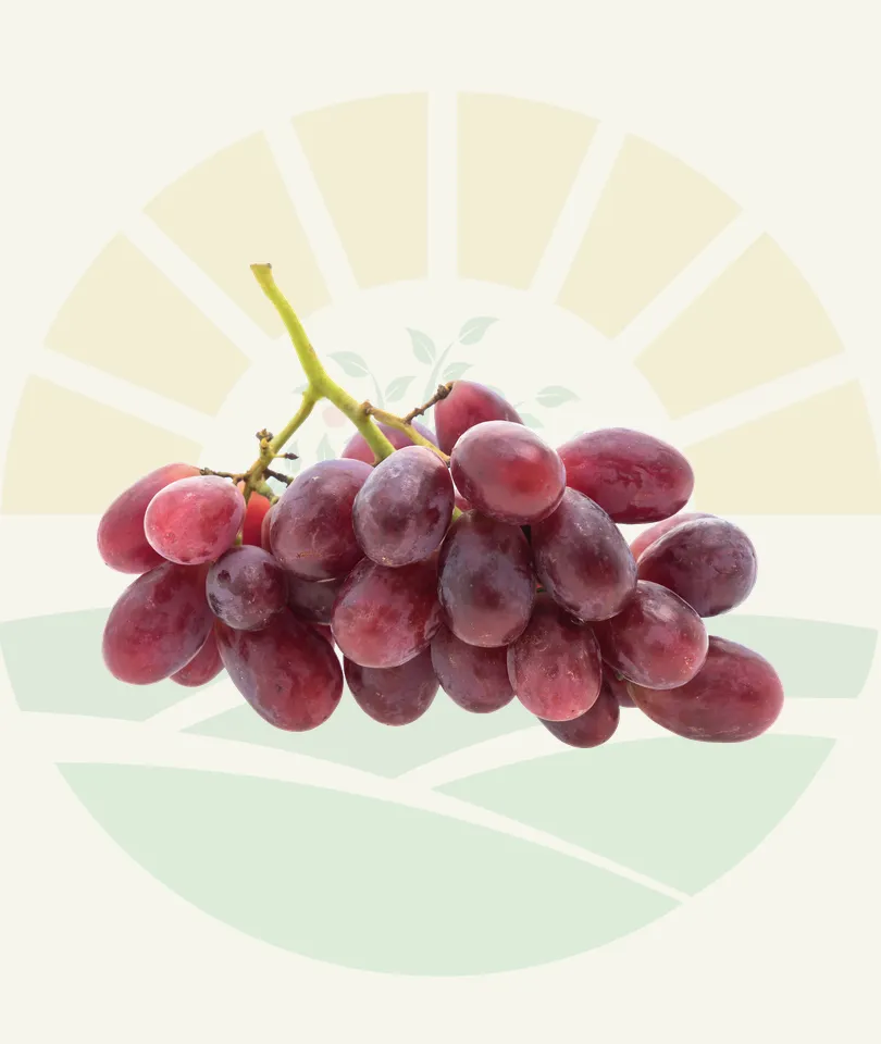 Table grapes