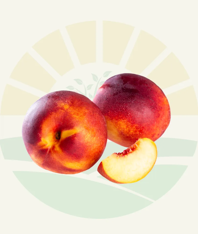 Nectarines