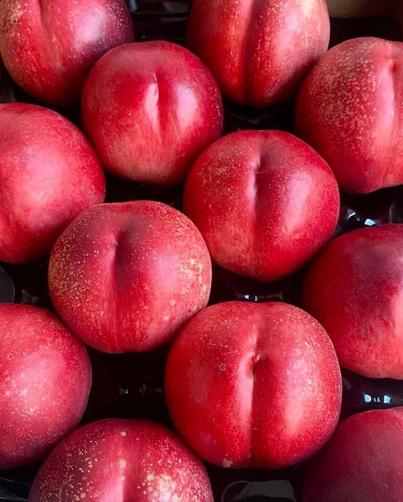Red nectarines packed in a tray