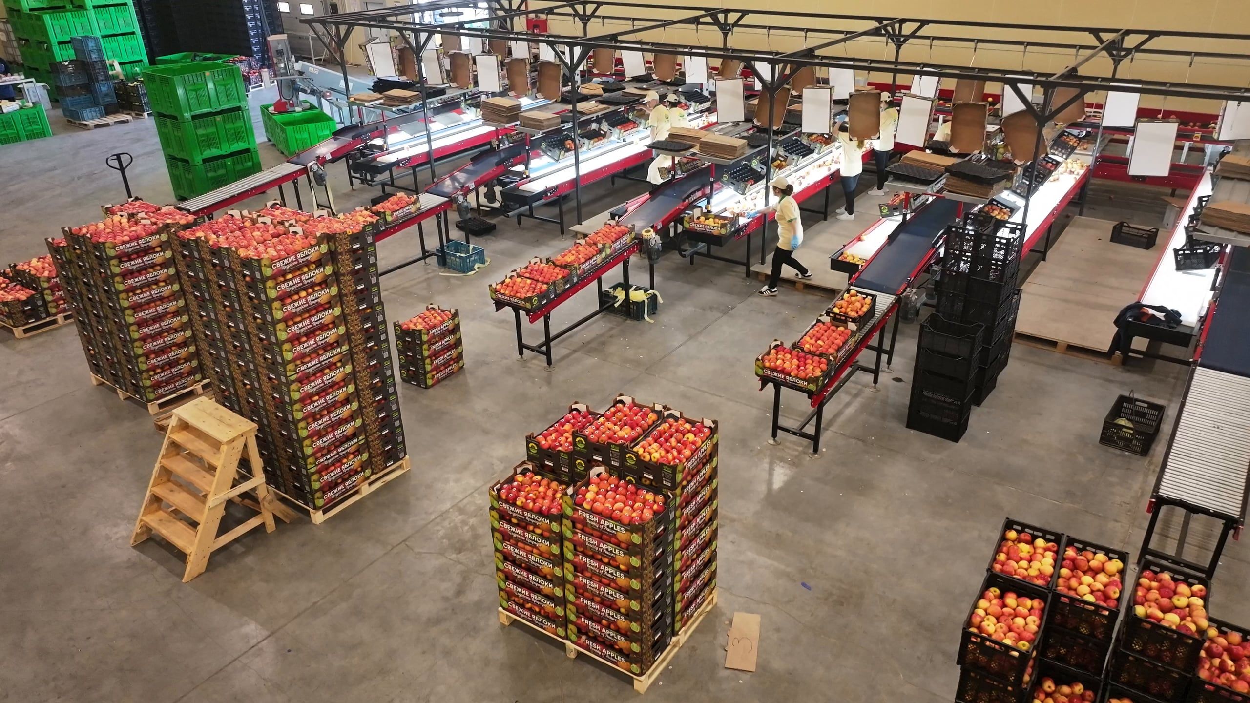 Akofruits packhouse seen from above