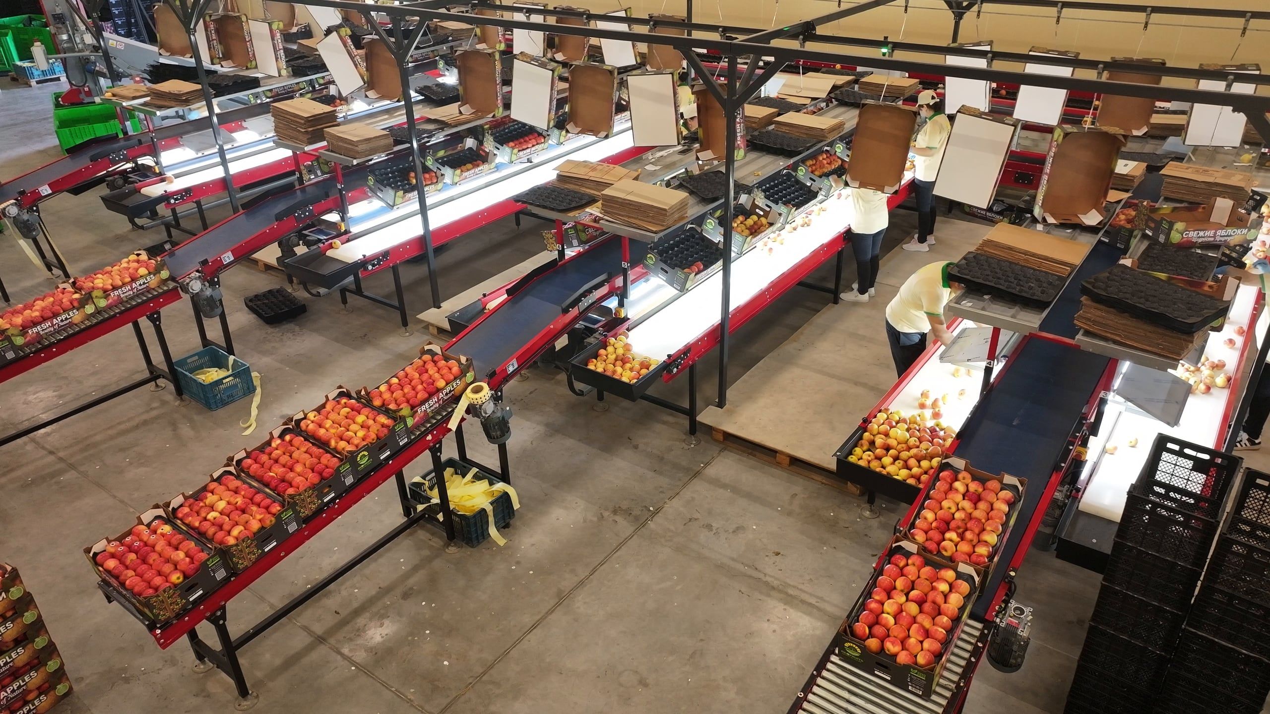 Akofruits packing hall seen from above