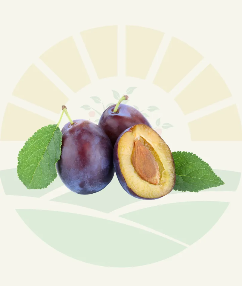 Plums