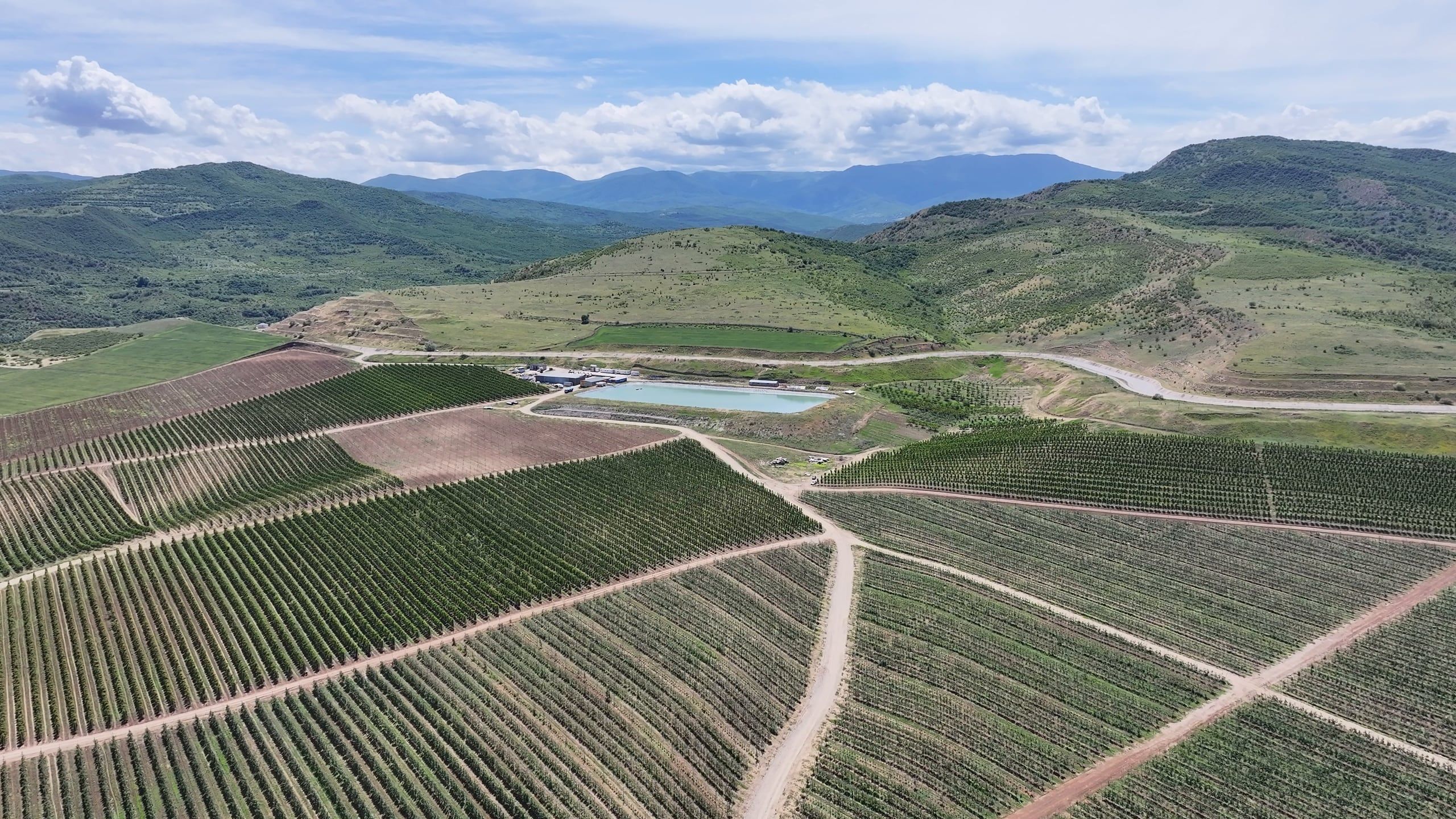 Akofruits orchards in a valley below the Greater Caucasus